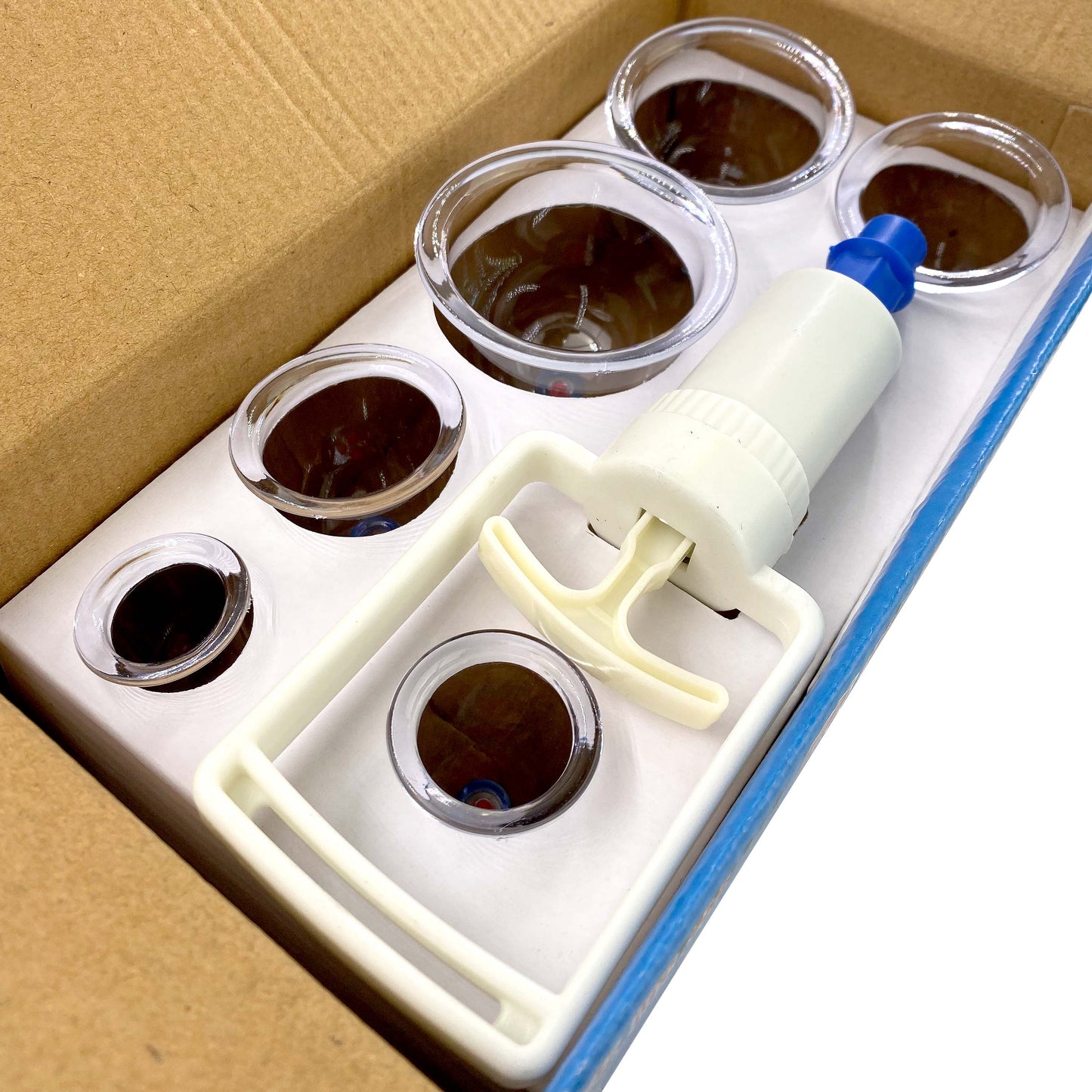 Ventosas Chinas Set De 6 Copas Masajes